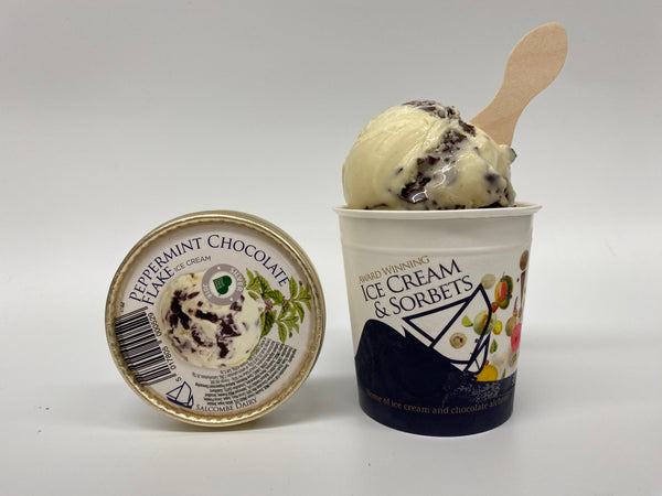 PEPPERMINT CHOCOLATE FLAKE ICE CREAM FROM SALCOMBE DAIRY