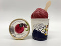 Blackcurrant Sorbet from Salcombe Dairy - Devon Farm Kitchen