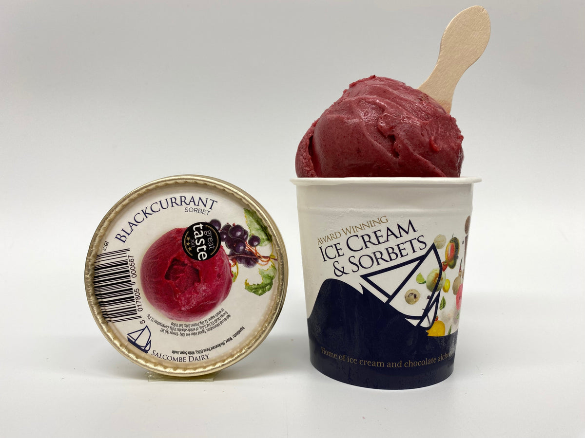 Blackcurrant Sorbet from Salcombe Dairy - Devon Farm Kitchen